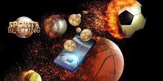 Enjoy a world of thrilling games and top-notch betting with Vivi 6
